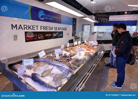 fishing stores auckland.